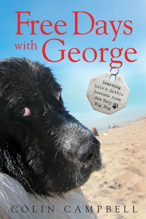 Free Days with George book